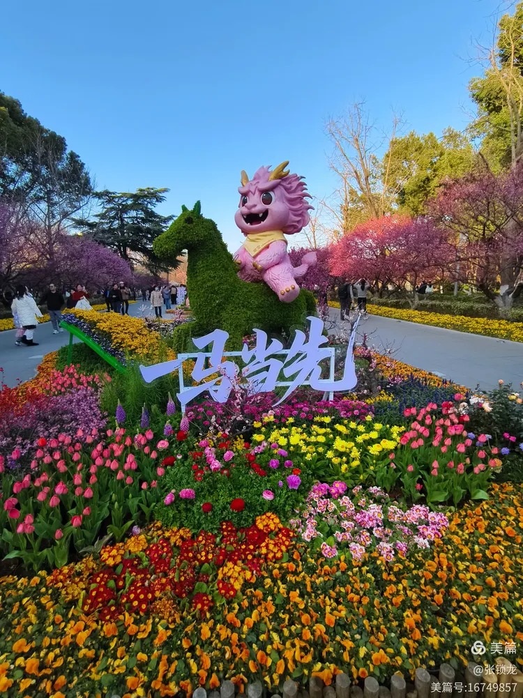 看草看花看人间盛世繁花(图3)