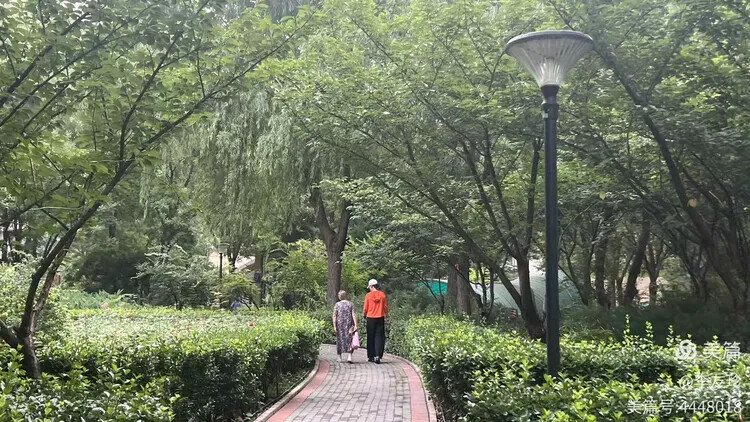我在北京过三伏——一片绿洲(图1)