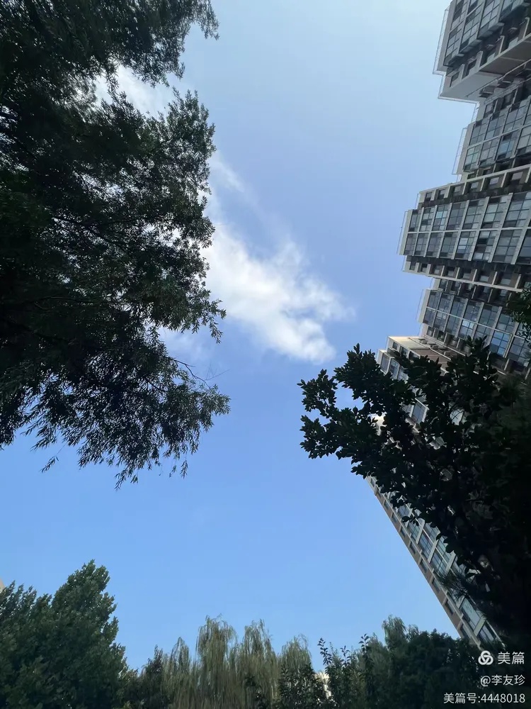 中伏第四天,北京的炼丹炉(图1) 中伏第四天,北京的炼丹炉(图1)