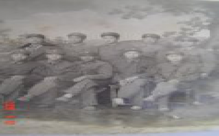 铁一师三团二营十连的战友们
