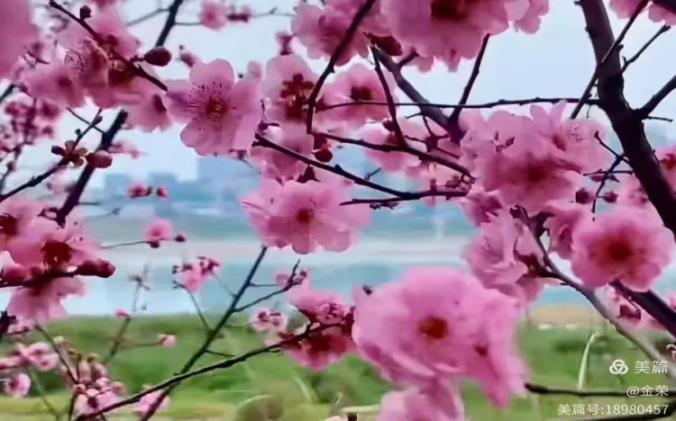 战友聚会壁山古道湾公园