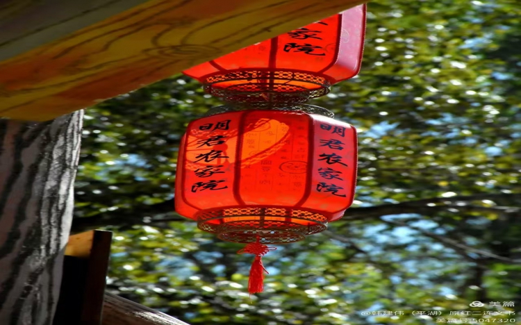 《浓郁乡情》