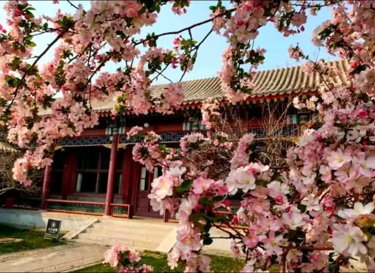 一月八日的思念----写在敬爱的周恩来总理逝世五十周年的一月八日……(图1)