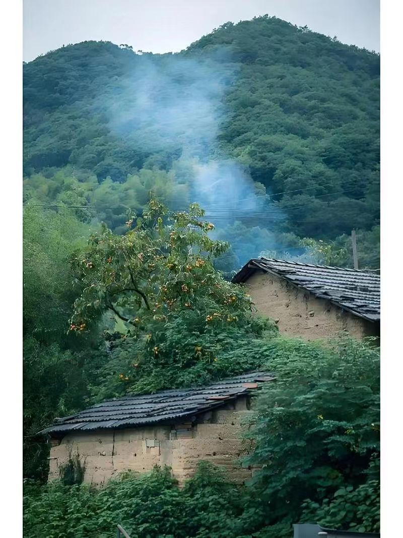 问故乡……(图1)