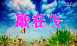 《铁道兵战友网交流群》晚会实录(图5)