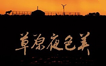 《铁道兵战友网交流群》晚会实录(图9)