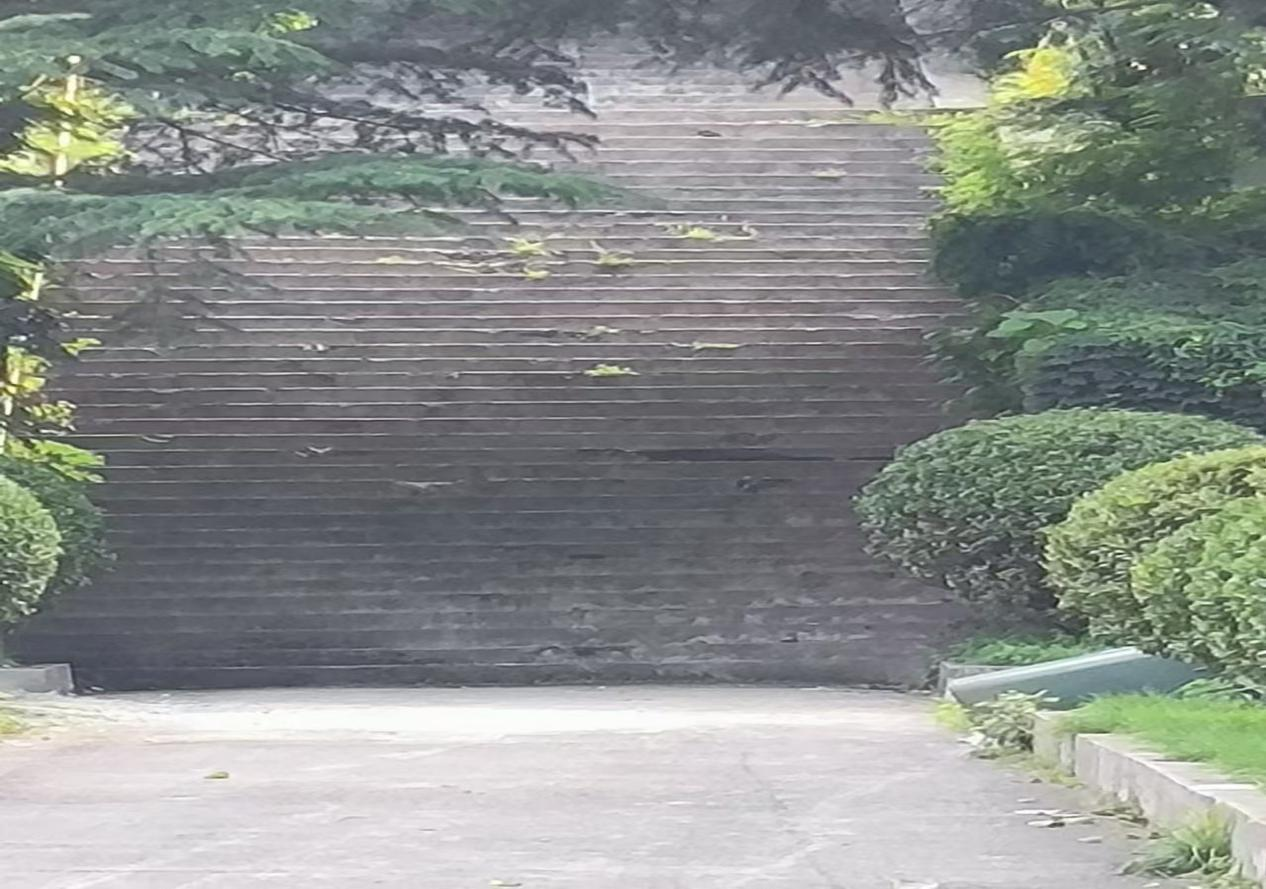 回忆我的爸爸（下篇）(图15)