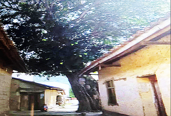 回忆我的爸爸(上篇）(图7)