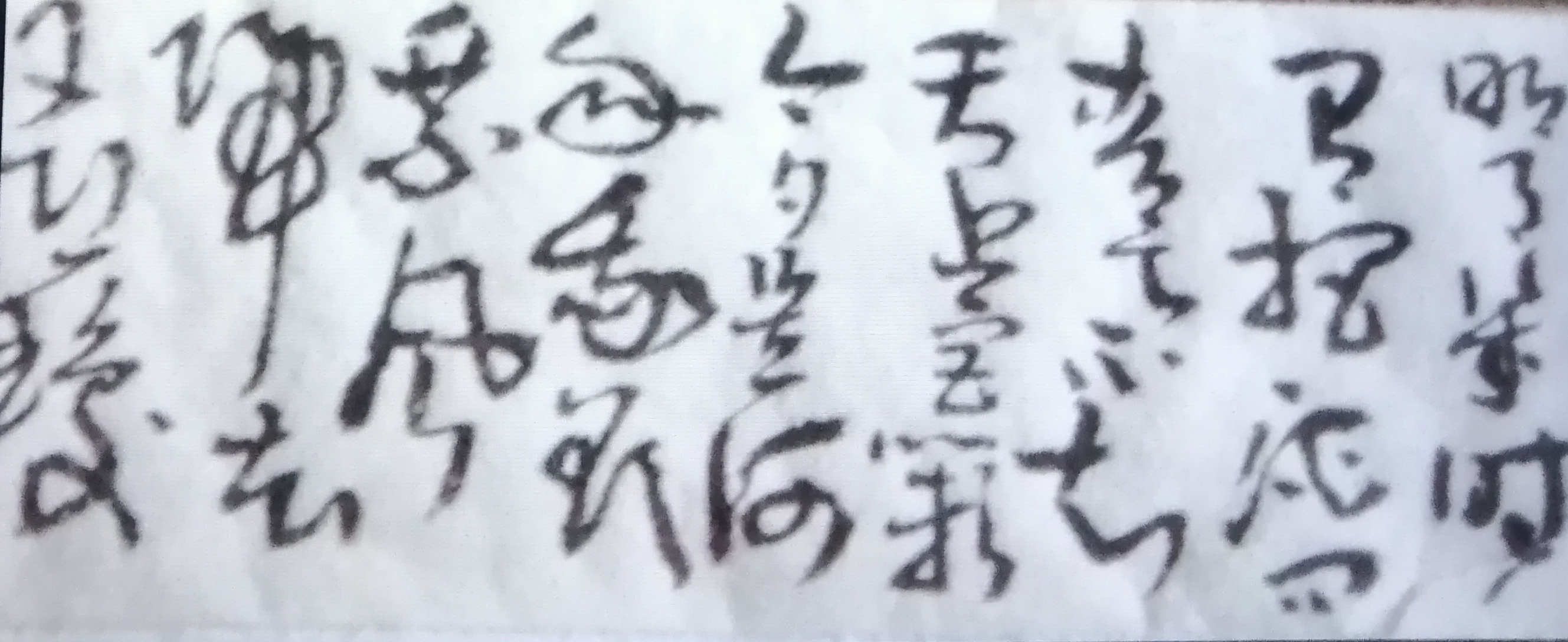 草书篆书作品选登(图9)