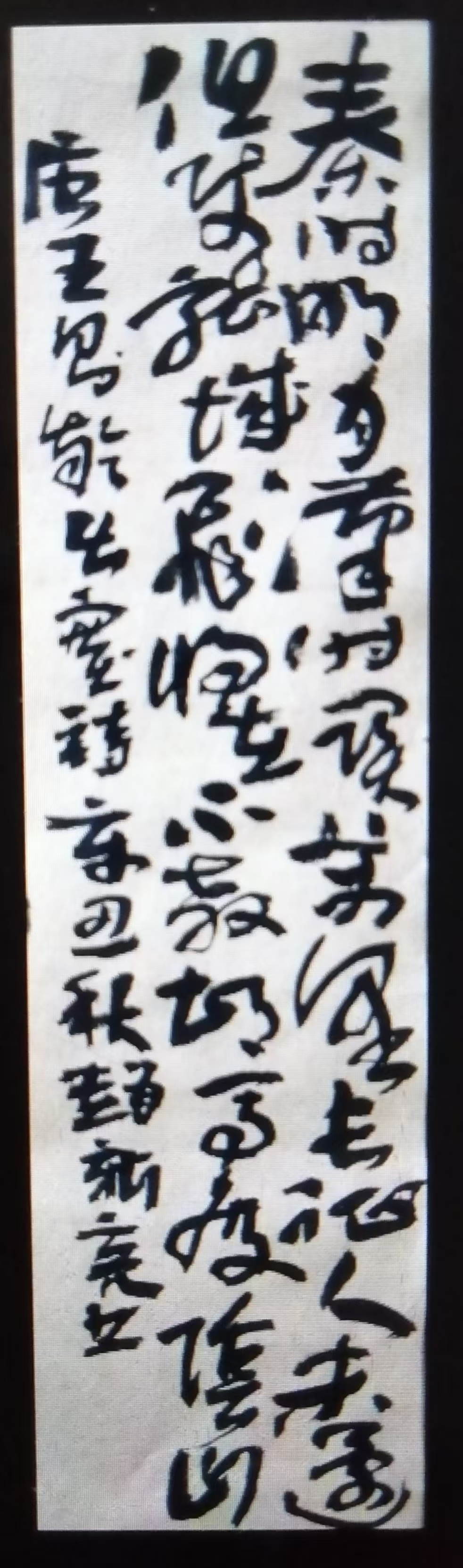 草书篆书作品选登(图5)