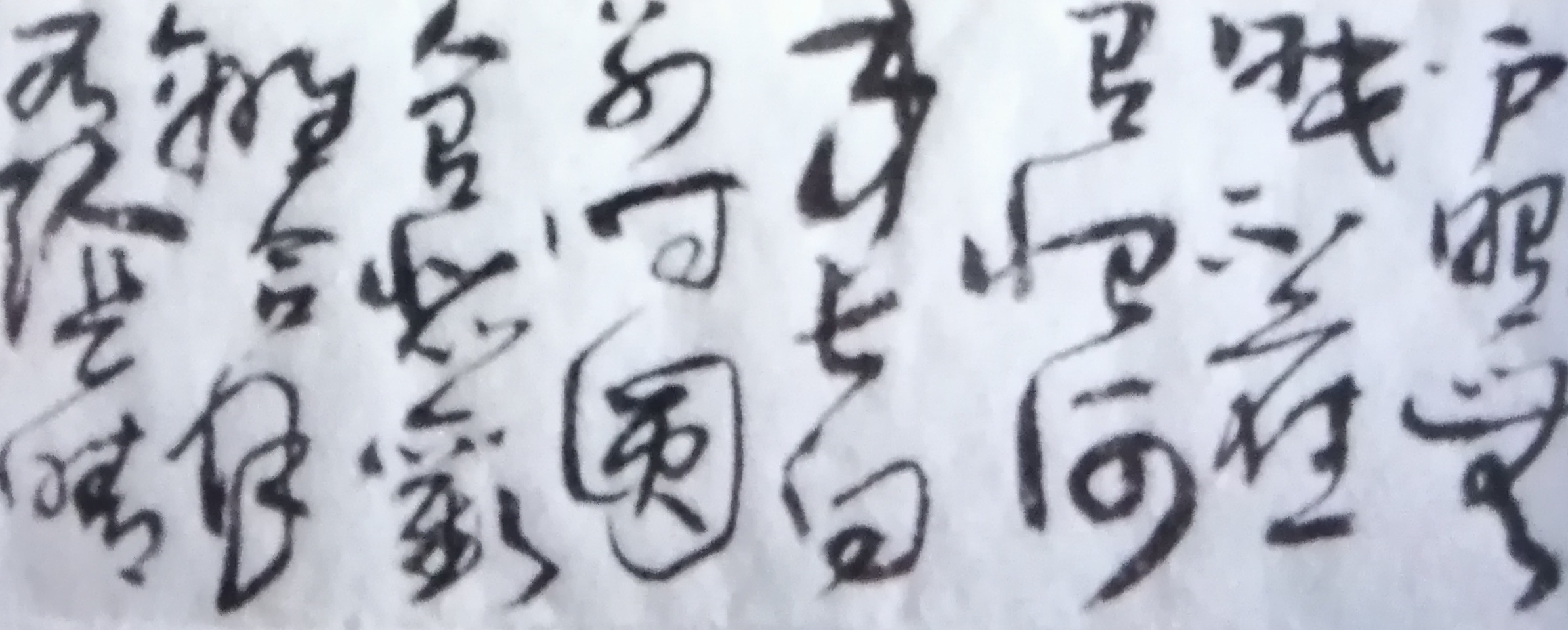 草书篆书作品选登(图11)