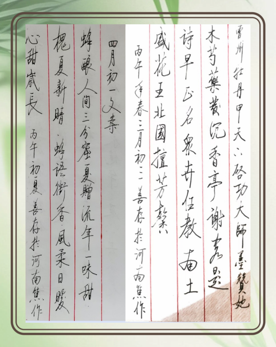 薛善存硬笔书法之-14(图3)