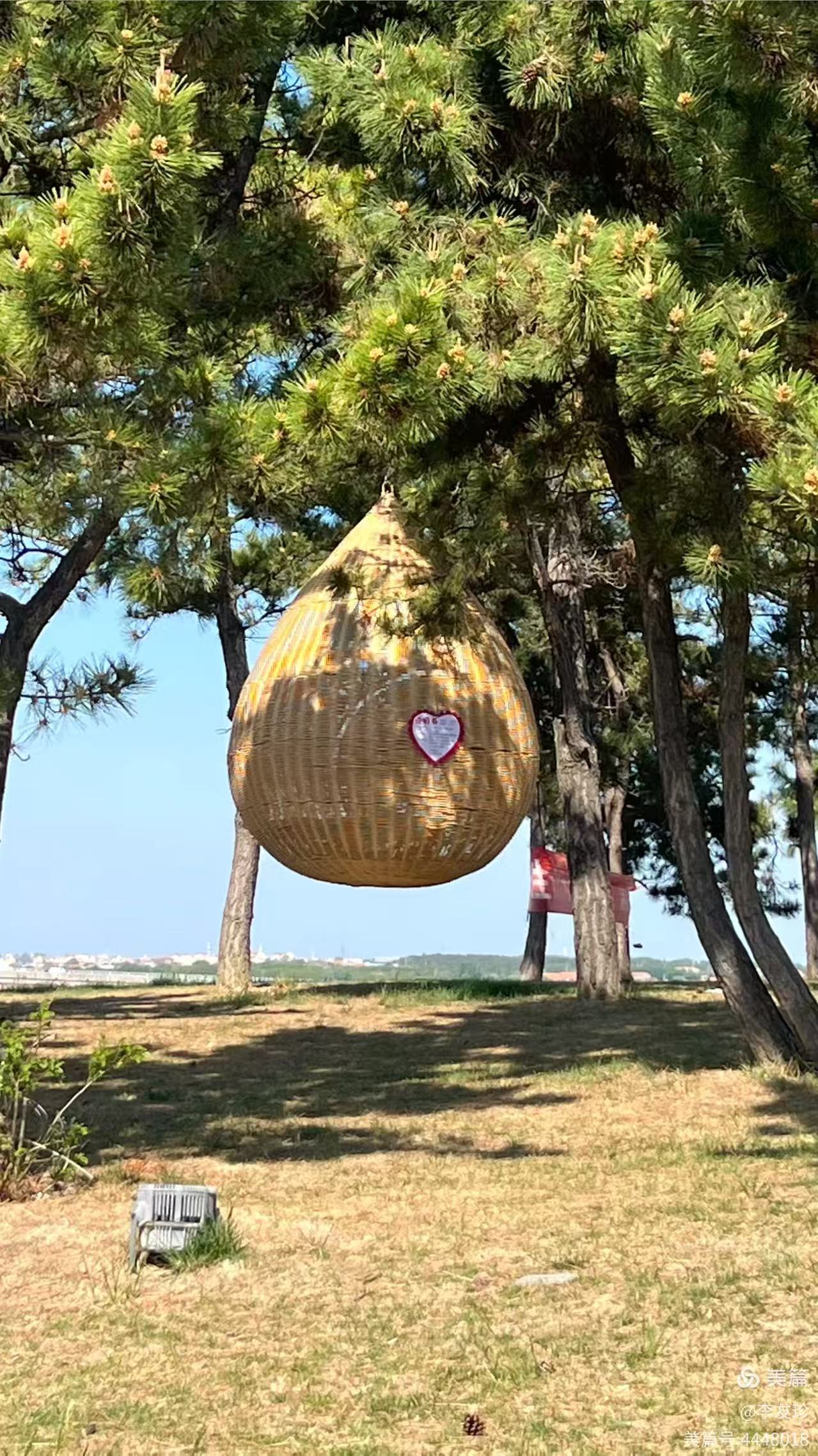 荣城灯塔公园——情系大海，风景如画(图2)