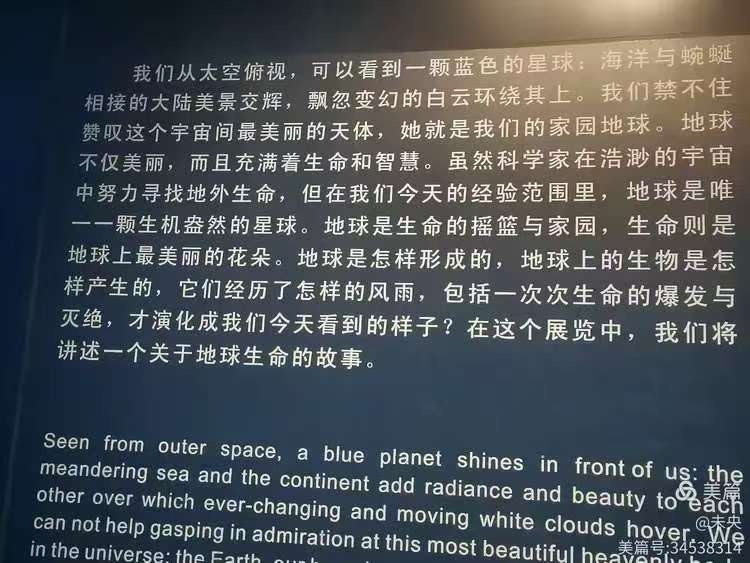 参观浙江自然博物院(图2)