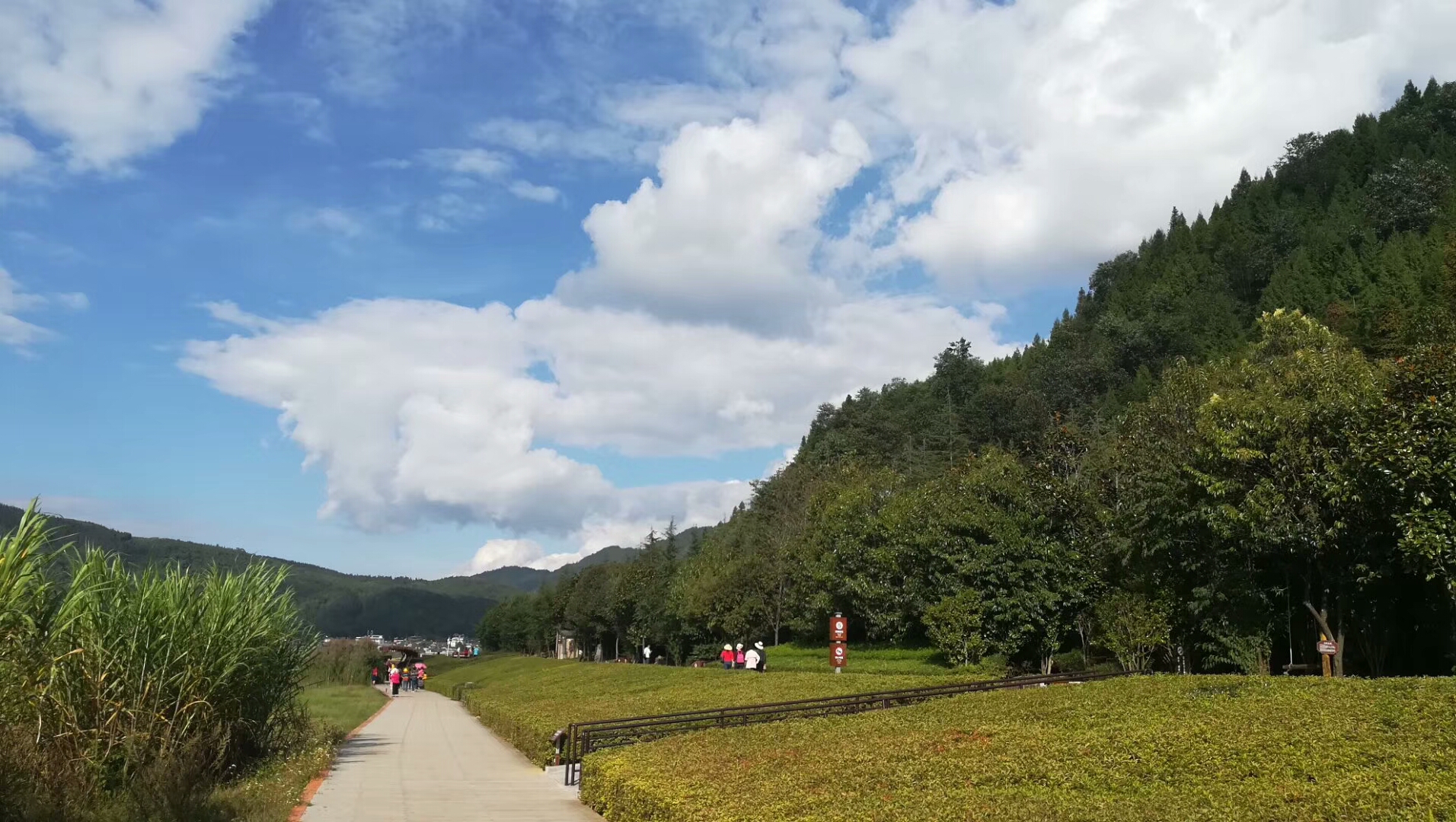 李玉树摄影--腾冲市北海湿地街景(图5)