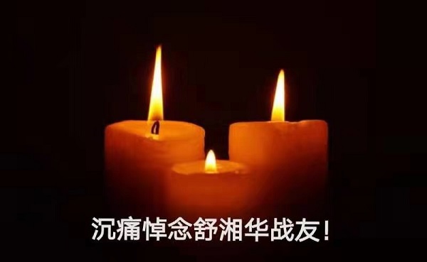 泪飞顿作倾盆雨，悲痛欲绝悼战友(图2)